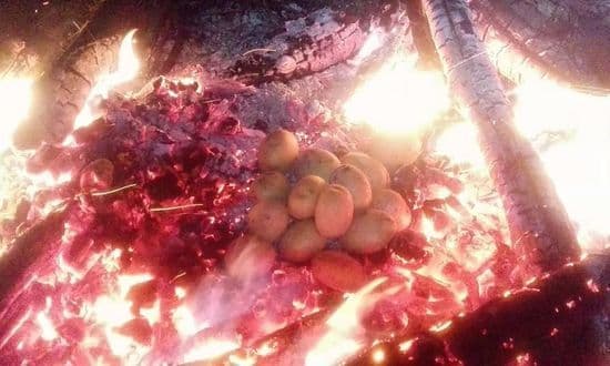 Zdjęcie artykułu