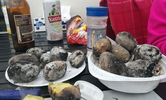 Zdjęcie artykułu