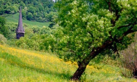 Maramureș