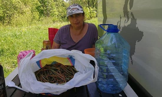 Zdjęcie artykułu