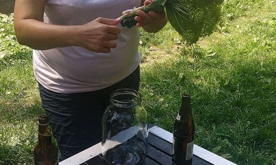Zdjęcie artykułu