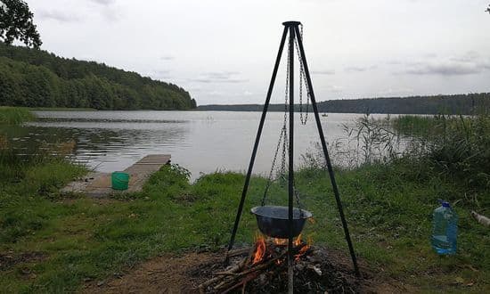 Zdjęcie artykułu