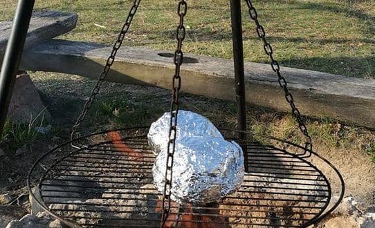 Zdjęcie artykułu
