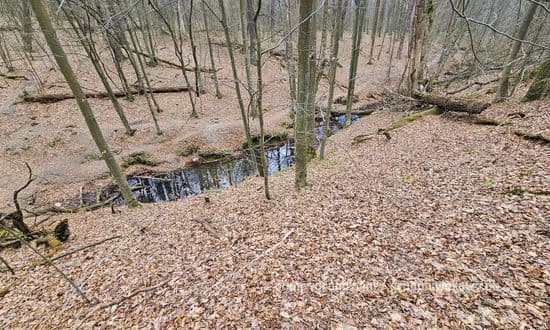 Źródło Elżbiety Złoty Potok