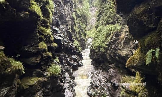 Bordalsgjelet Gorge