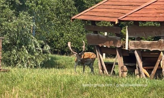 Gospodarstwo rolno Rybackie Nad potokiem