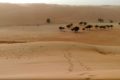 Dogodny biwak na pustyni
