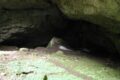Silicka Jaskinia Lodowa (Silická ľadnica, Szilicei Jeges-barlang)