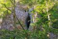 Jaskinia Jáchymka w Morawskim Krasie