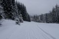Trasy narciarstwa biegowego Brenna Leśnica