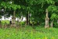 Przycerkiewny cmentarz w Bruśnie Nowym